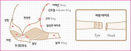 브래지어 각 부분의 명칭