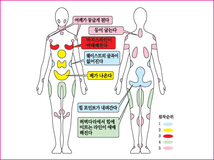 지방 침착의 순서